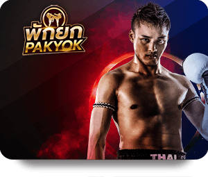 Exclusive Nova88 Casino Royal VIP Program Benefits Explained